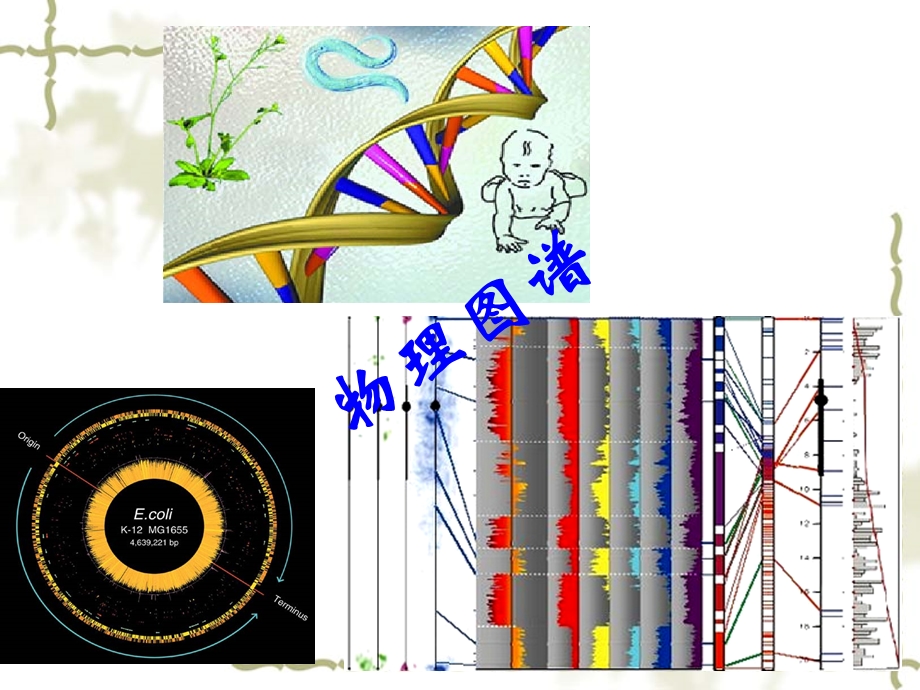 《组学研究技术》PPT课件.ppt_第3页