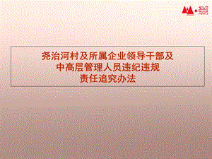 《责任追究办法》PPT课件.ppt