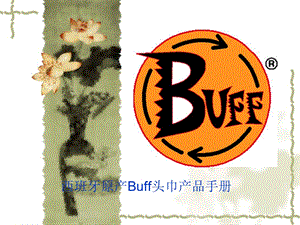 BUFF产品培训及技术分析.ppt