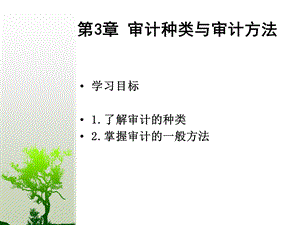 《宋常审计学》PPT课件.ppt