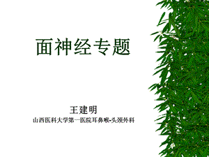 《面神经专题》PPT课件.ppt