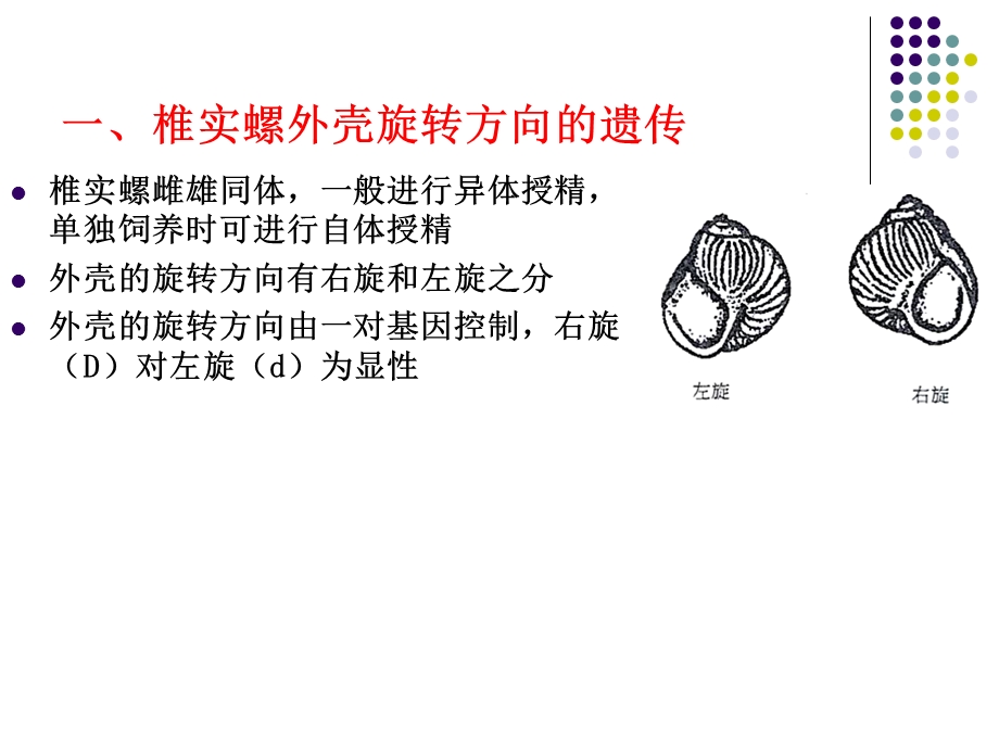 《非孟德尔遗传》PPT课件.ppt_第3页