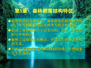 《森林群落结构特征》PPT课件.ppt