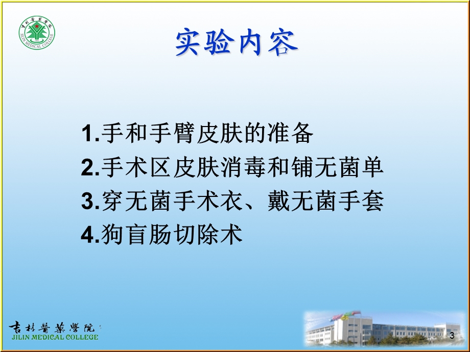 《狗盲肠切除术》PPT课件.ppt_第3页