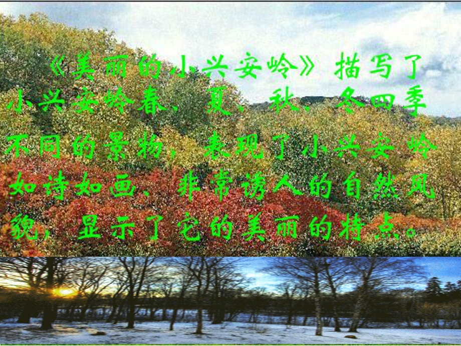 美丽的小兴安岭[1].ppt_第3页