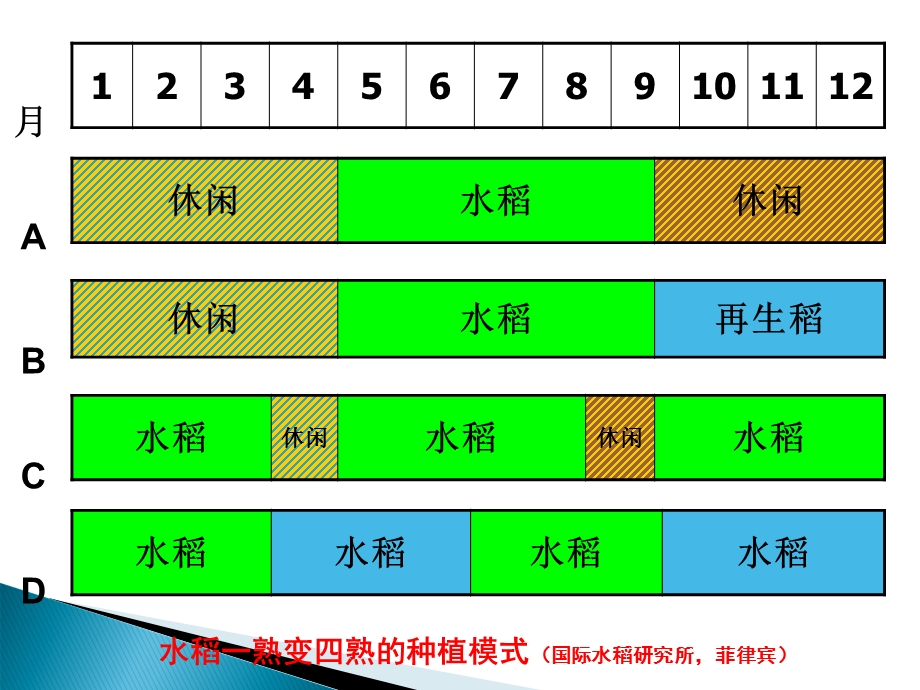 《多熟种植》PPT课件.ppt_第3页