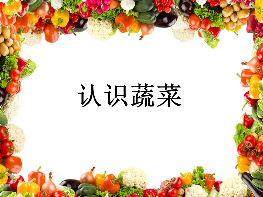 《认识蔬菜》PPT课件.ppt_第1页