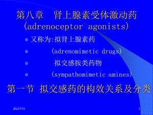 《肾上腺受体》PPT课件.ppt