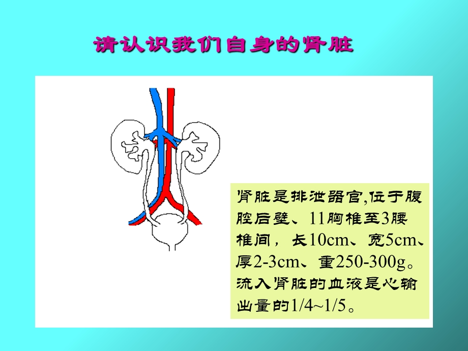 《血液透析技术》PPT课件.ppt_第2页