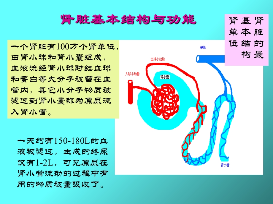 《血液透析技术》PPT课件.ppt_第3页