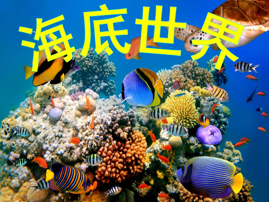 海底世界课件1.ppt_第1页