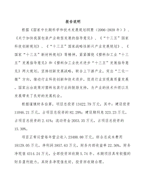 南岸区塑料包装材料项目可行性研究报告.docx