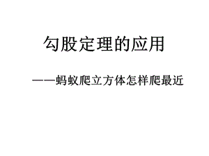 《蚂蚁爬立方体》PPT课件.ppt