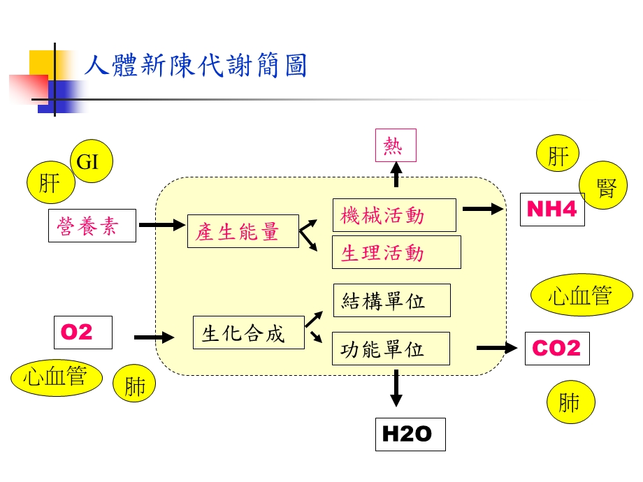 身体评估在护理运用.ppt_第3页