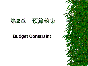 《预算约束》PPT课件.ppt