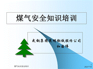 《煤气安全培训》PPT课件.ppt