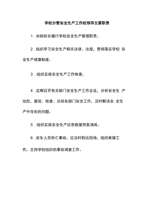 学校分管安全生产工作校领导主要职责.docx