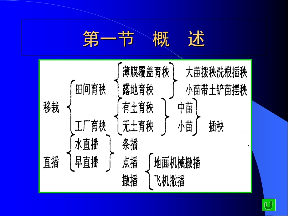 《钵苗自动排序机构》PPT课件.ppt_第2页