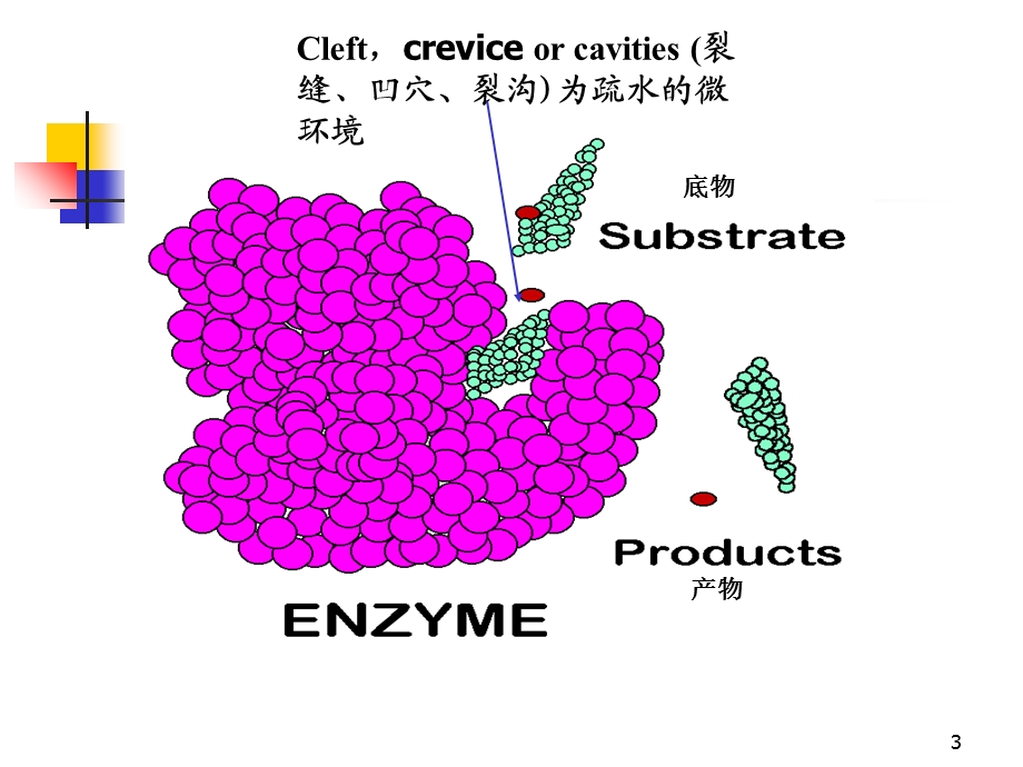 《酶的作用机理》PPT课件.ppt_第3页