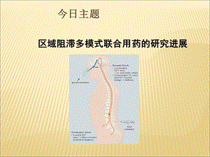 《多模式联合》PPT课件.ppt