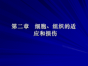 《适应和损伤》PPT课件.ppt