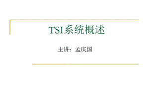 《TSI系统概述》PPT课件.ppt