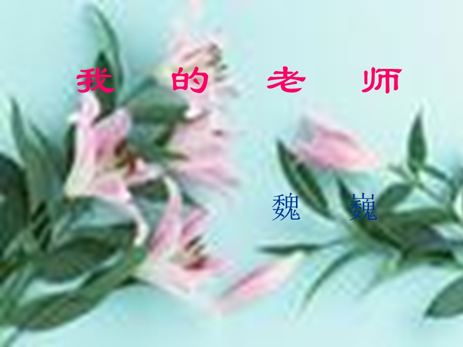 《我的老师词语》PPT课件.ppt_第1页