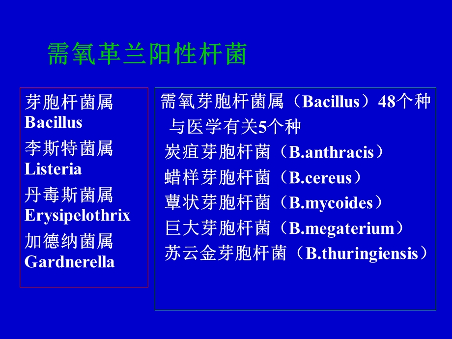 《需氧革兰阳性杆菌》PPT课件.ppt_第1页