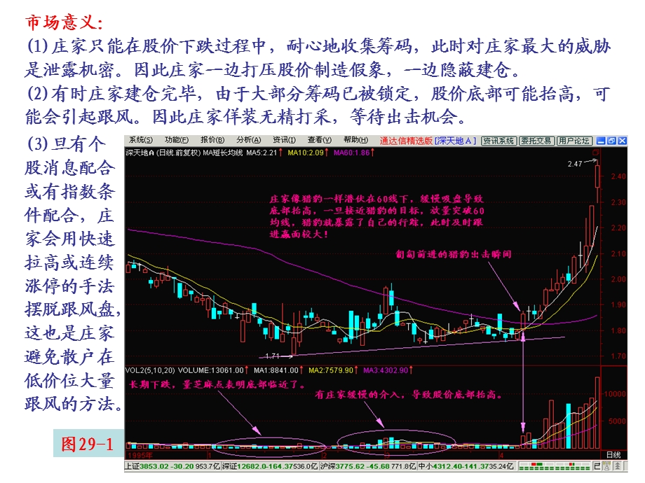 《猎豹出击》PPT课件.ppt_第2页