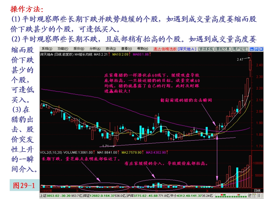 《猎豹出击》PPT课件.ppt_第3页