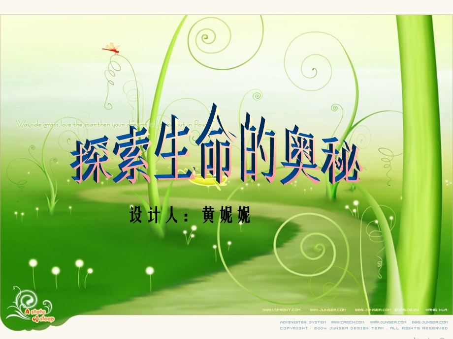 《设计人黄妮妮》PPT课件.ppt_第1页