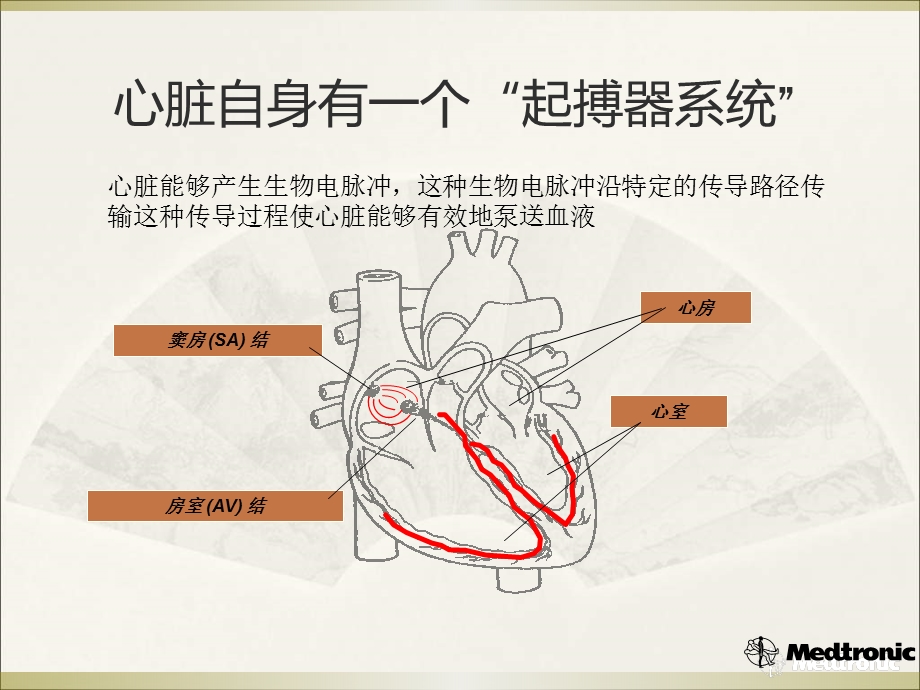 起搏治疗的电学基础.ppt_第2页