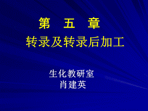 《转录及转录后加工》PPT课件.ppt