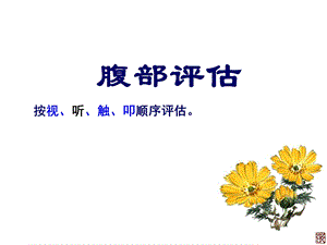 《腹部评估》PPT课件.ppt