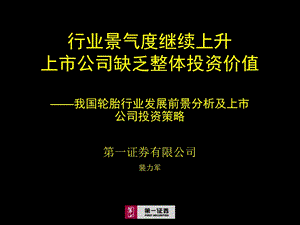 《轮胎行业》PPT课件.ppt