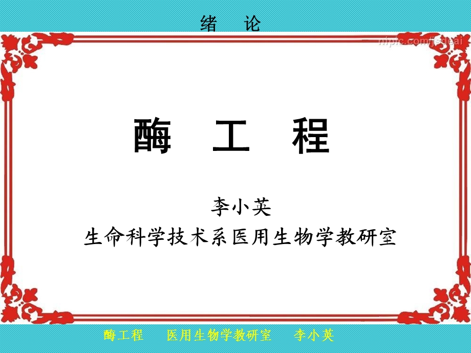 《酶工程基础》PPT课件.ppt_第1页