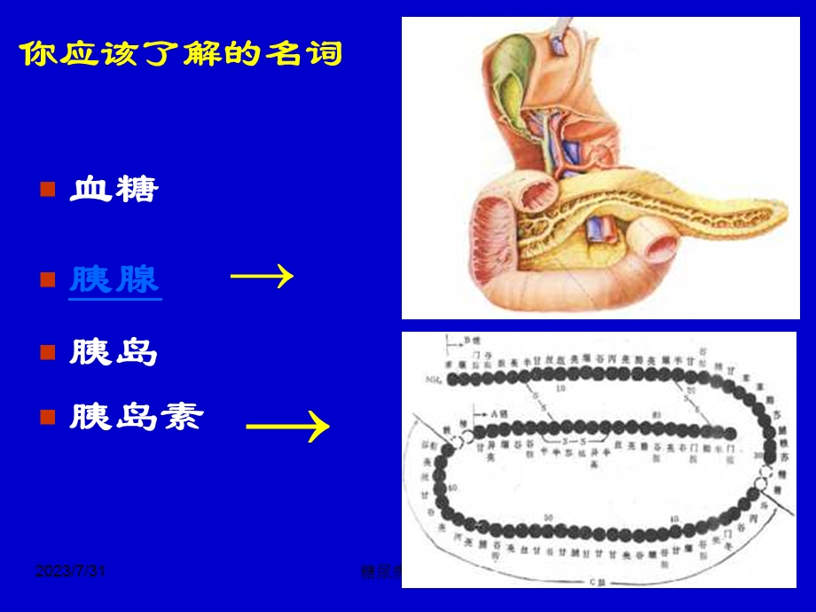 《糖尿病的营养治疗》PPT课件.ppt_第2页