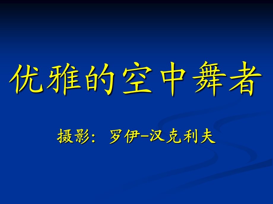 《优雅的空中舞者L》PPT课件.ppt_第1页