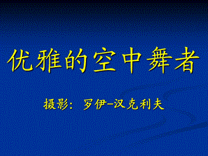 《优雅的空中舞者L》PPT课件.ppt