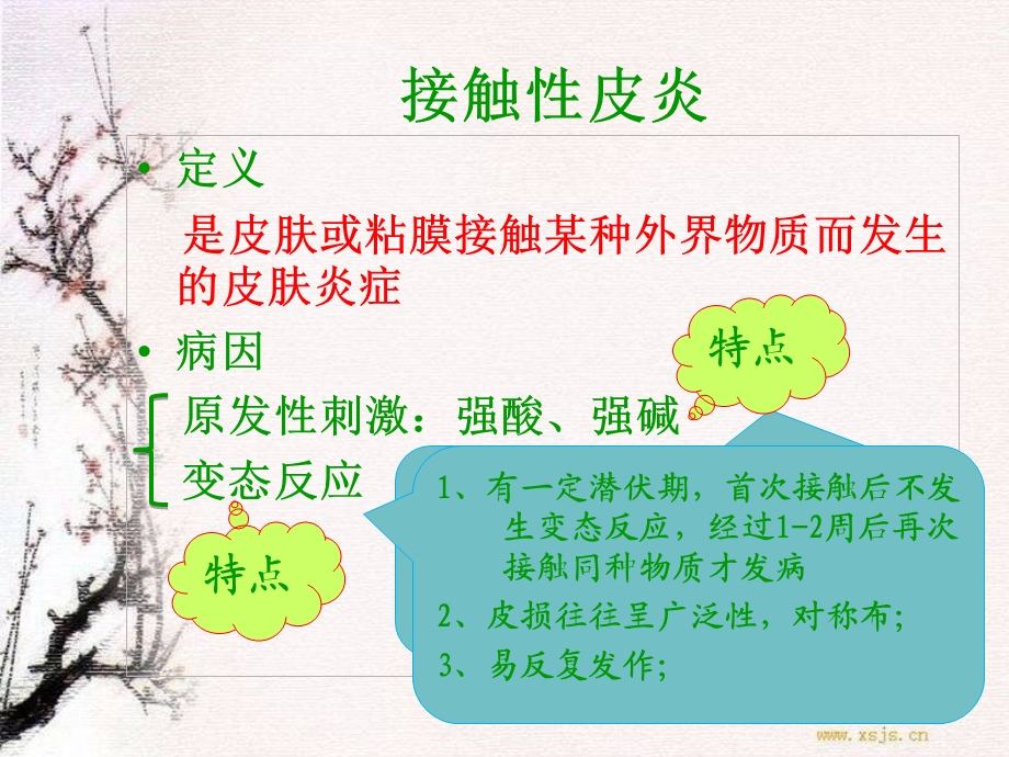 《接触性皮炎用》PPT课件.ppt_第2页