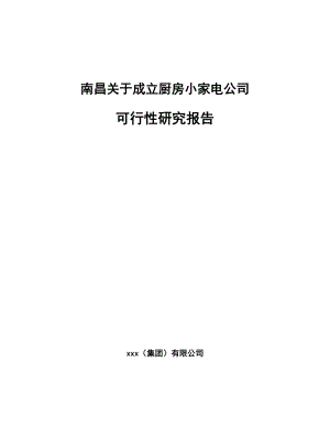 南昌关于成立厨房小家电公司可行性研究报告.docx