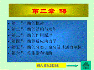 《酶的作用原理》PPT课件.ppt