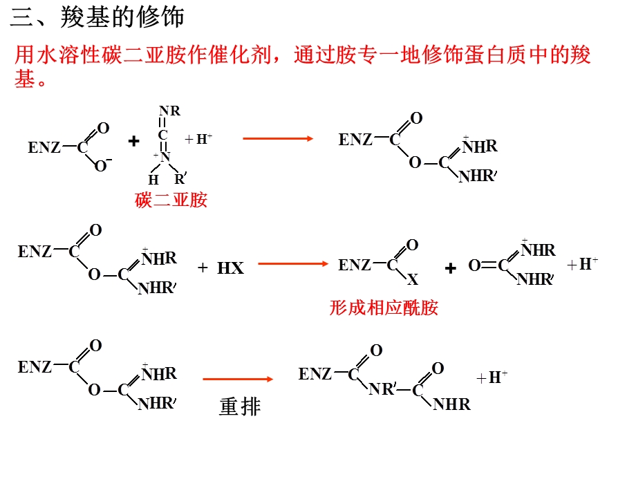 《蛋白质的化学修饰》PPT课件.ppt_第2页