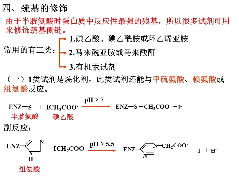 《蛋白质的化学修饰》PPT课件.ppt_第3页