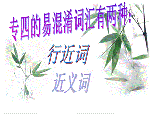 易溷淆词.ppt