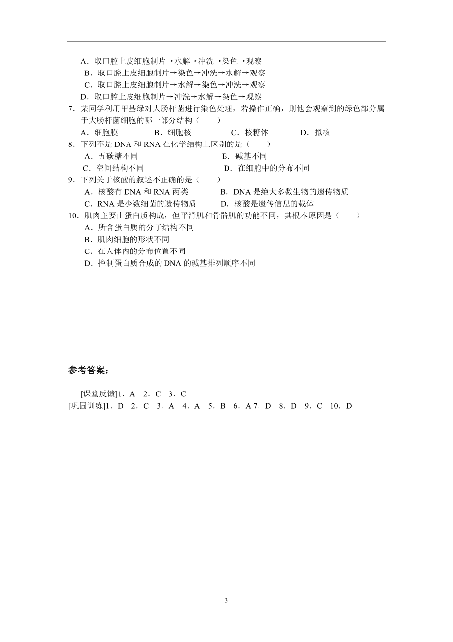 1.3遗传信息的携带者核酸(学案)霍艳波.doc_第3页