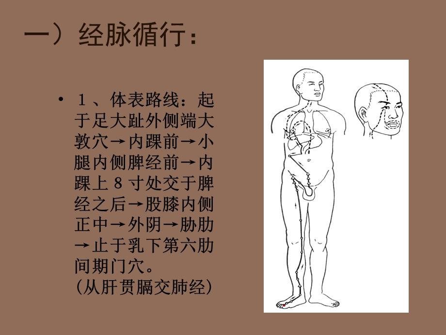 足厥阴肝经TheLiverMeridianofFootjueyinppt课件.ppt_第2页