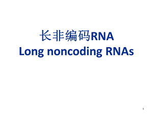 《长非编码RNA》PPT课件.ppt