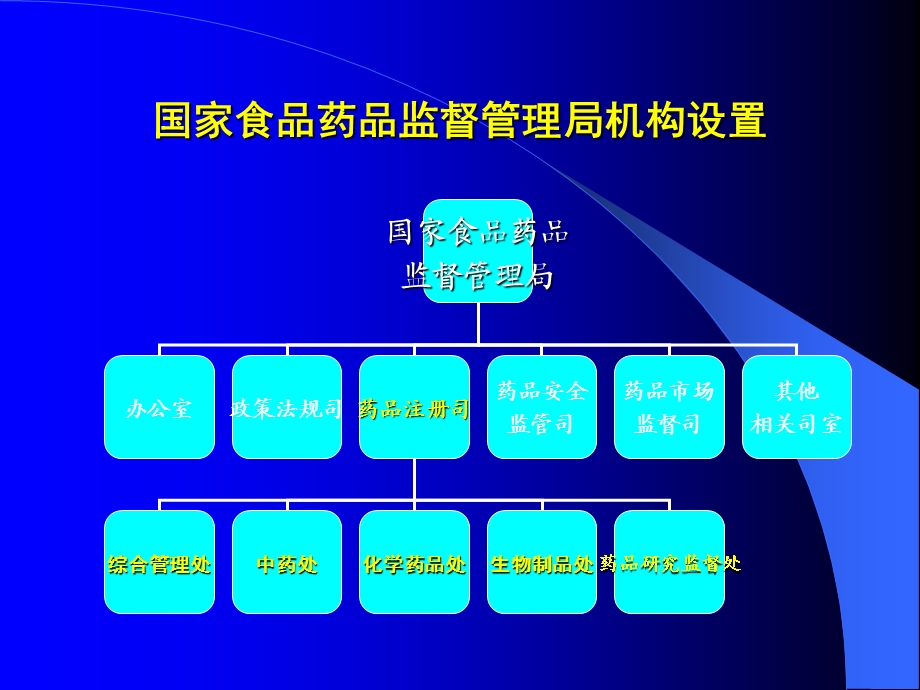 《药品注册情况》PPT课件.ppt_第2页