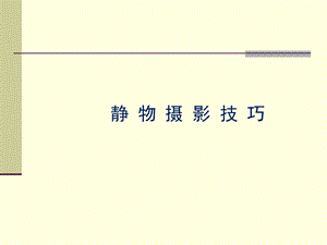 《静物摄影技巧》PPT课件.ppt